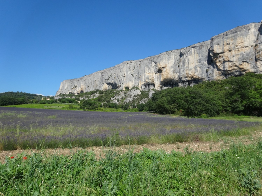  Feierabendrunde im Luberon