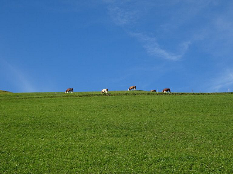 Mehr über den Artikel erfahren Saisonschluss Bärenbadalm