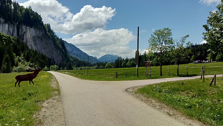 Mehr über den Artikel erfahren Rohrmoossattel