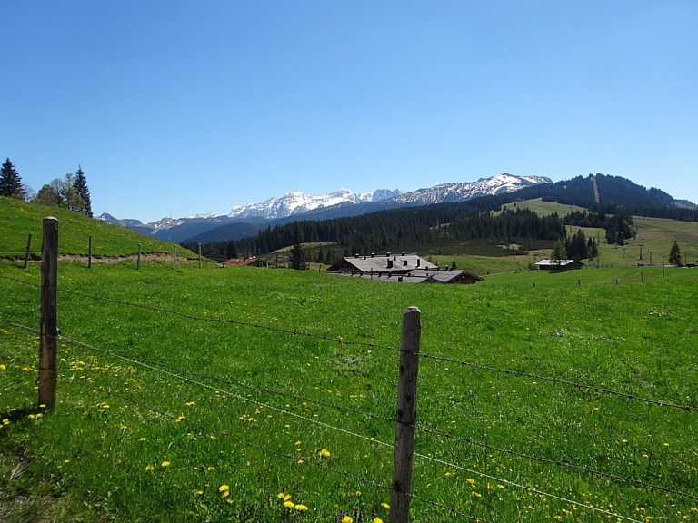 Mehr über den Artikel erfahren Winkelmoosalm