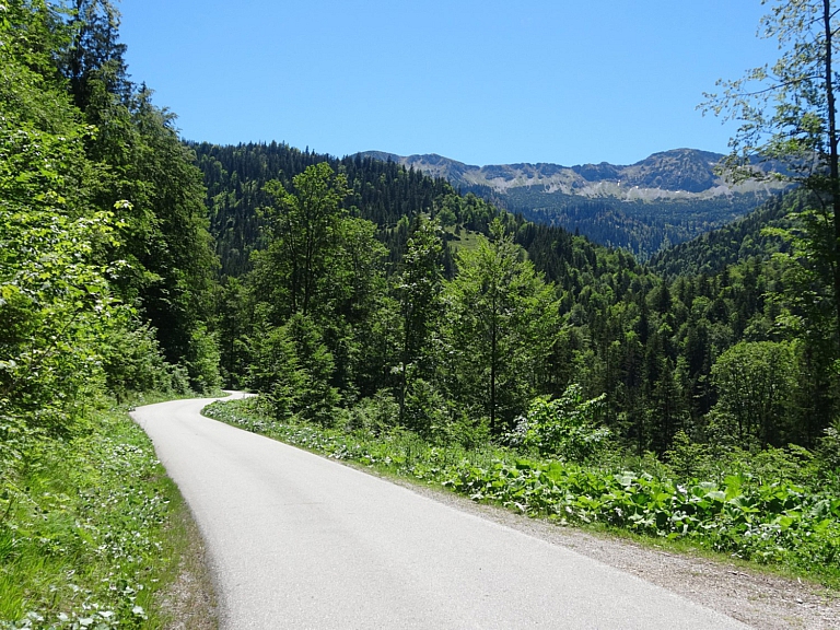 Mehr über den Artikel erfahren Bächental