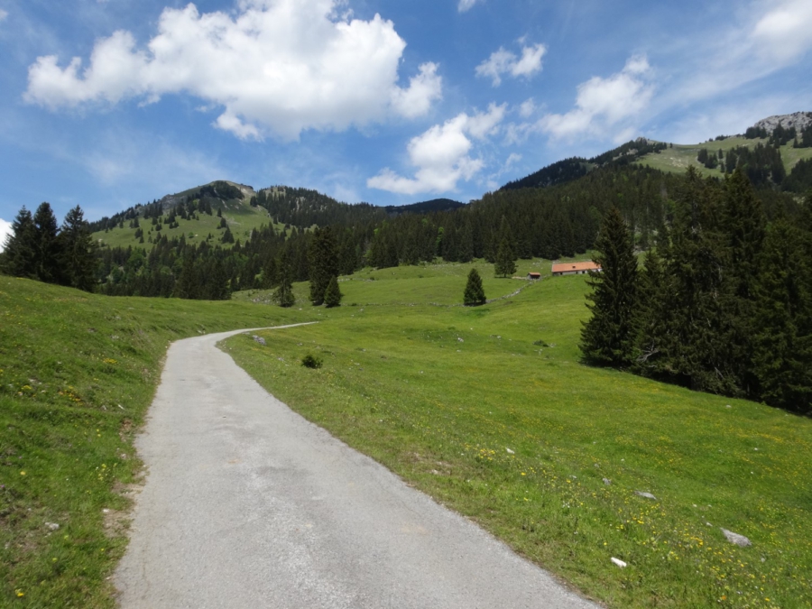 Lacheralm und Irschenberg