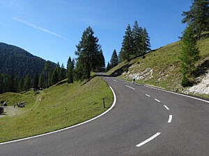 Edi im Anstieg zur Eisentalhöhe