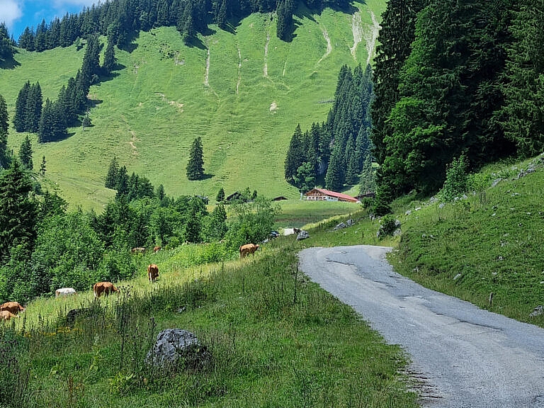 Mehr über den Artikel erfahren Mehr so mental