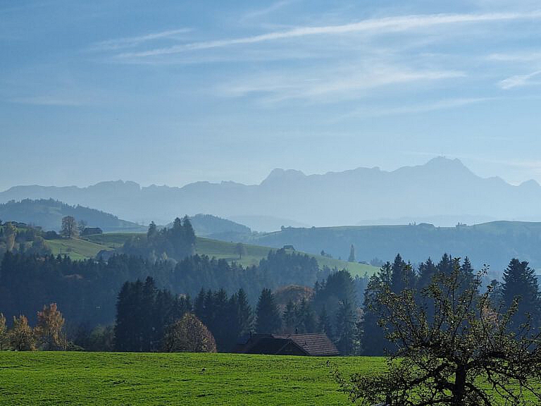 Mehr über den Artikel erfahren Appenzeller