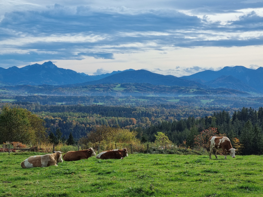 A bisserl was geht immer