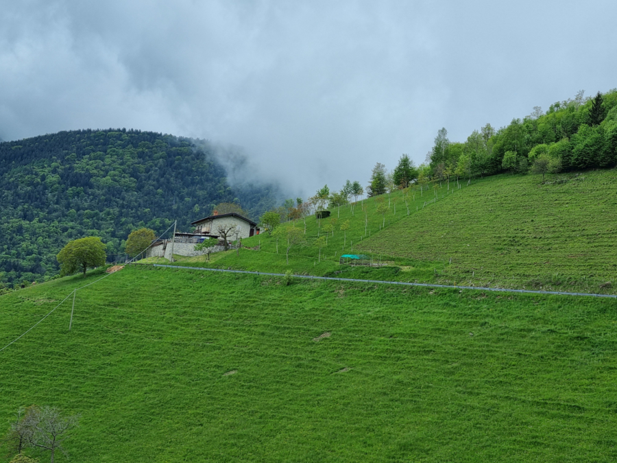Himbeergeist im Notfall
