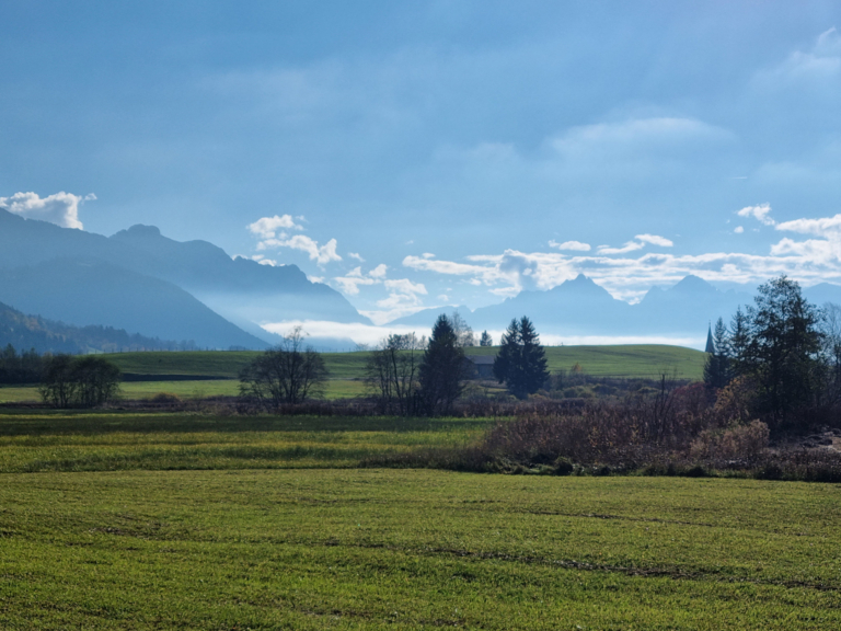Mehr über den Artikel erfahren Rhenodanubischer Flysch