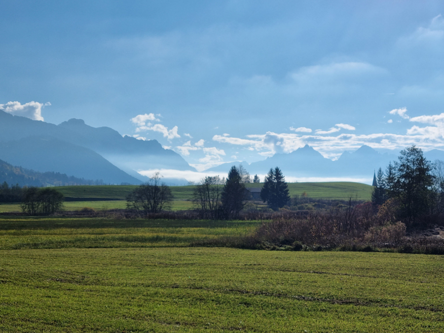 Rhenodanubischer Flysch