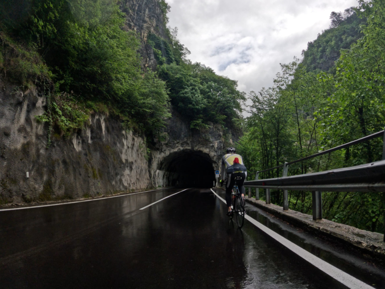 Mehr über den Artikel erfahren Ricarda 2