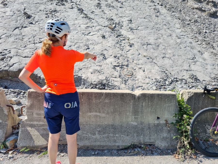 Vor 300 Millionen Jahren